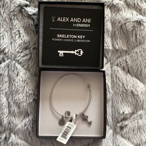 Alex & Ani Skeleton Key Bangle